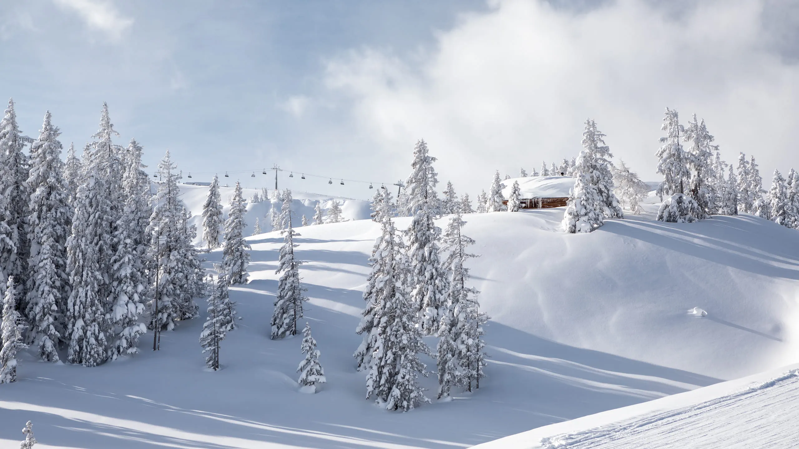 Verschneite Bäume und Berghütte in Hinterglemm im Winter