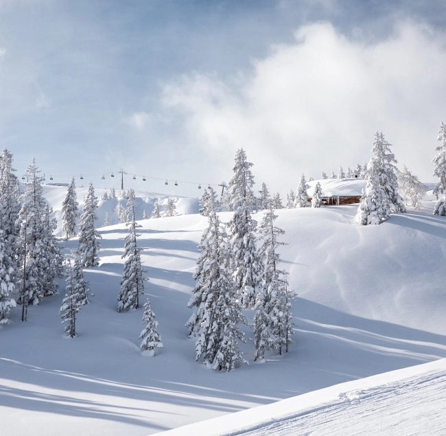 Schneebedeckte Landschaft in Saalbach Hinterglemm mit Skiliften und Fichten.