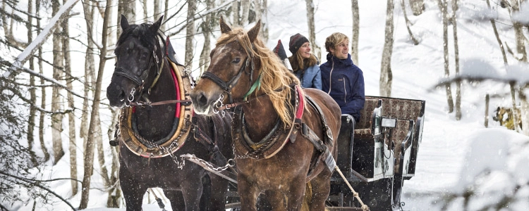 Two horses pull a sled through a snowy landscape.