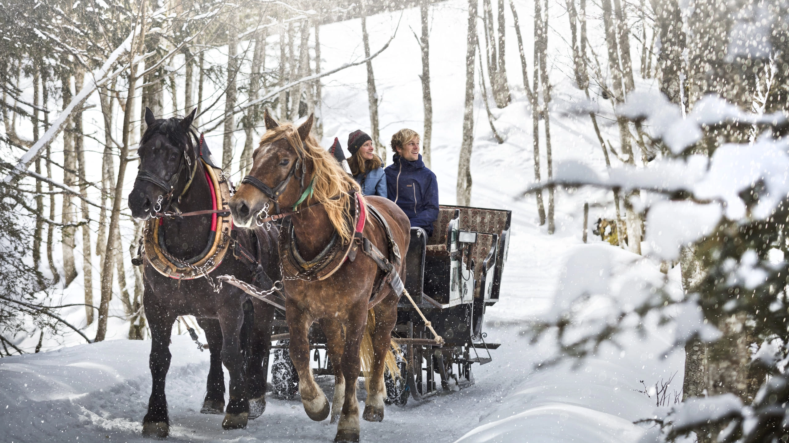 Horse-drawn sleigh with two horses and passengers in a snowy forest