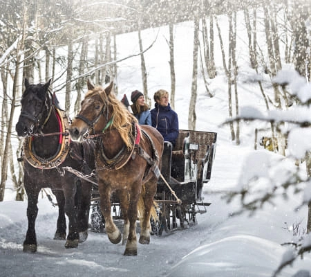Pferdeschlitten im Schnee mit zwei Pferden und Passagieren